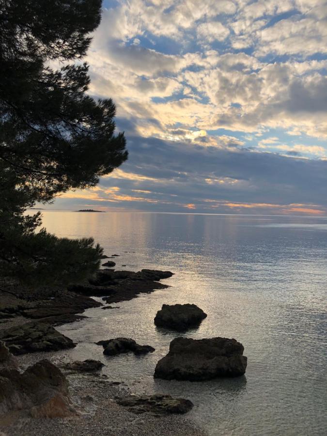Apartment Luce Poreč Dış mekan fotoğraf